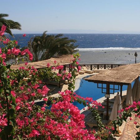Nesima Resort Dahab Eksteriør billede